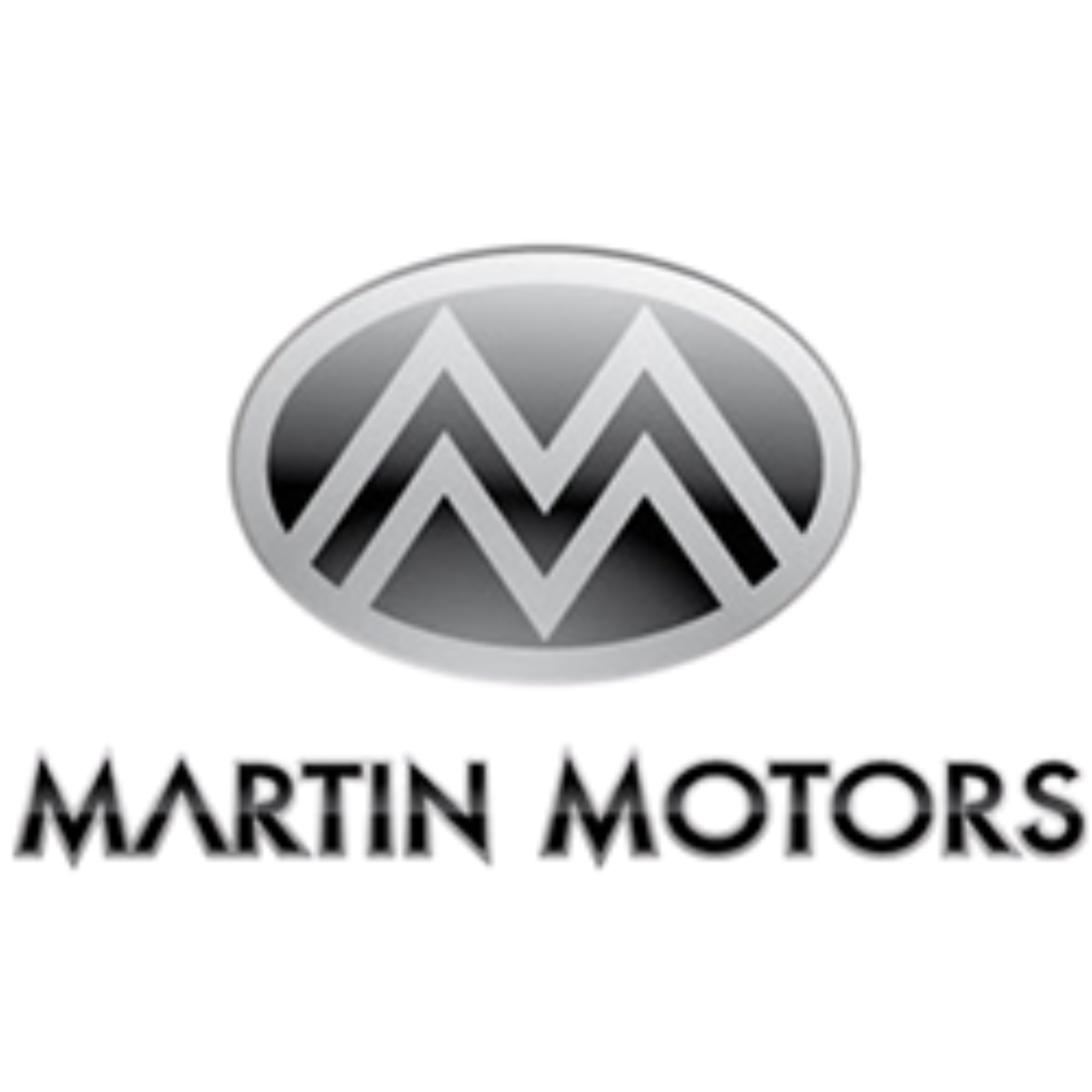 Martin Motors